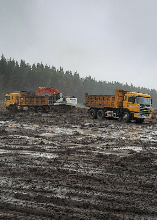 Trabajo forestal invierno